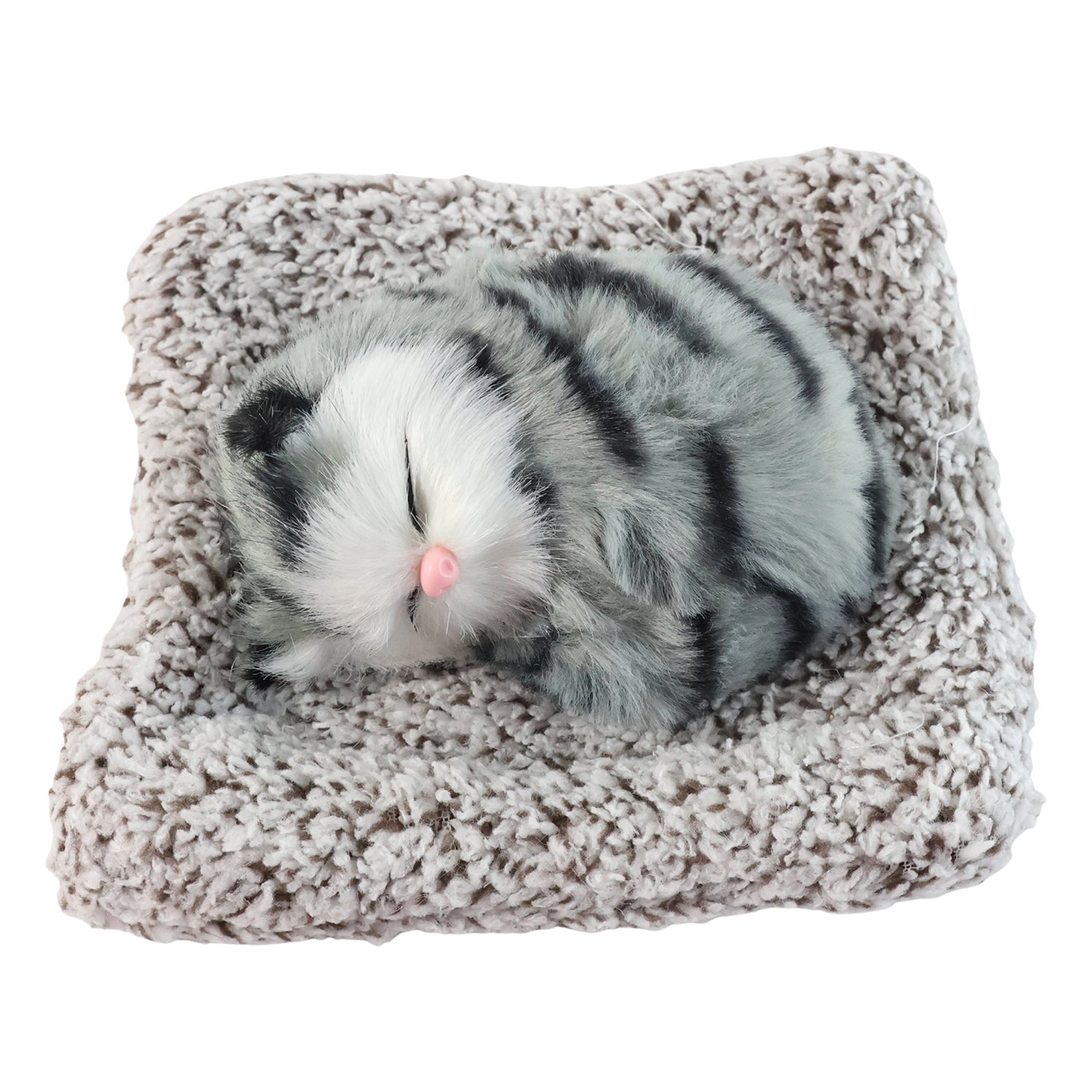 Sleeping Cat
