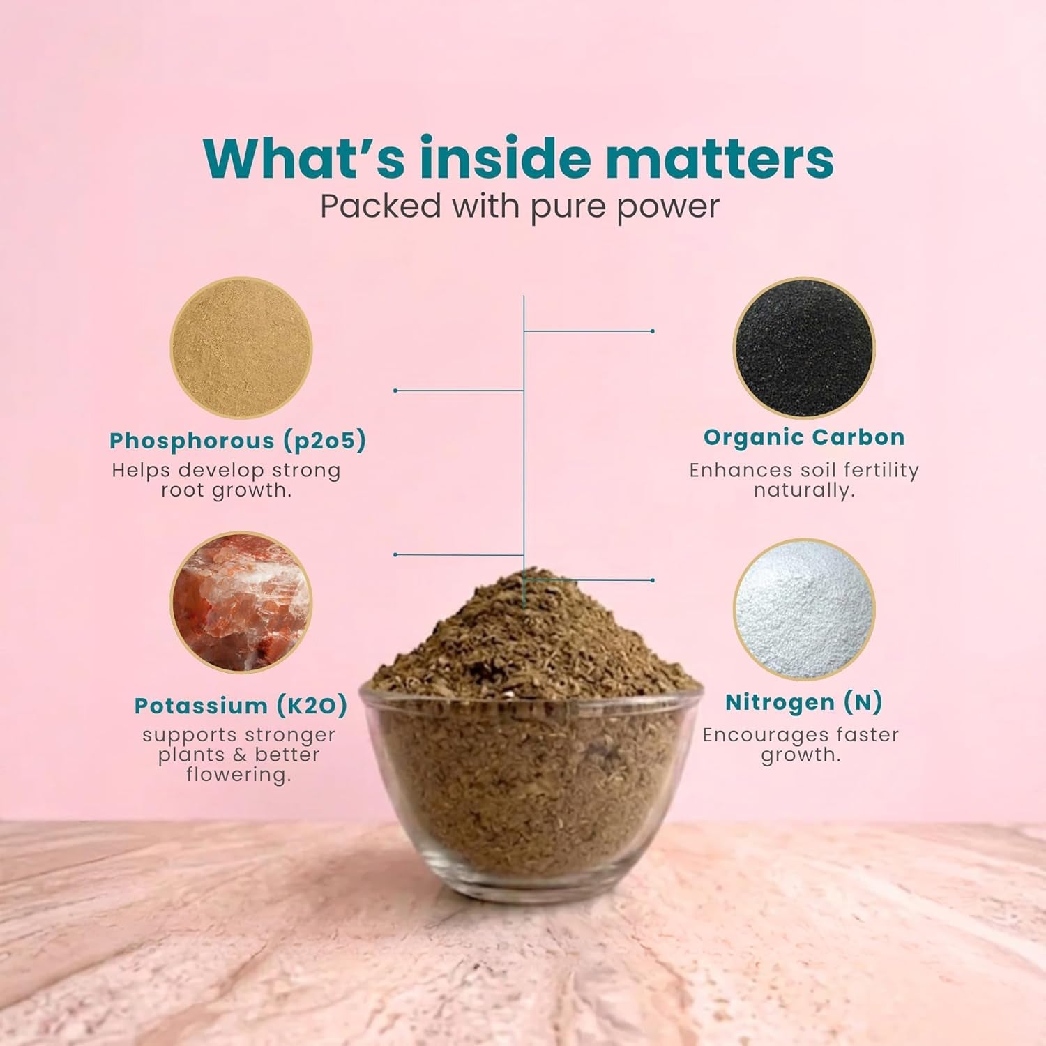 Organic Cow Dung Powder 800g, Natural Soil Improver and Manure for Plants (1 Pc)