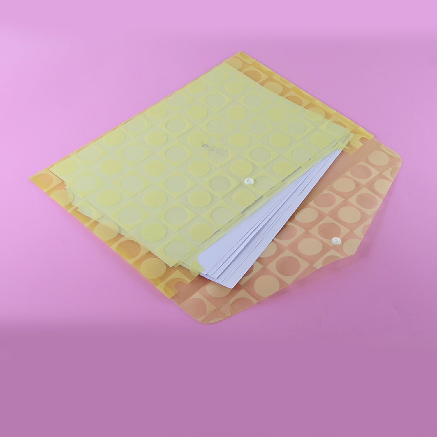 Document Envelope