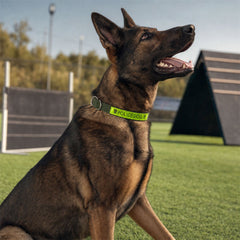 Heavy Duty Nylon Dog Collar with Metal Buckle Reflective Adjustable (1 Pc)