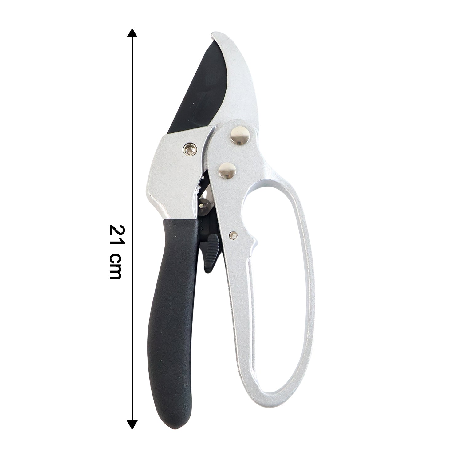 Pruner cutting rose bush branch