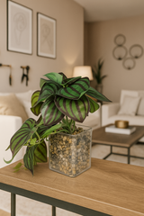 ChatGPT Image Jun 14, 2025, 04_17_15 PM