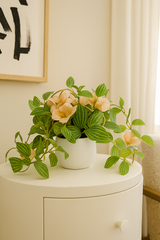 ChatGPT Image Jun 16, 2025, 12_11_18 PM