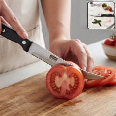 Apex stainless steel steak knife with riveted handle
