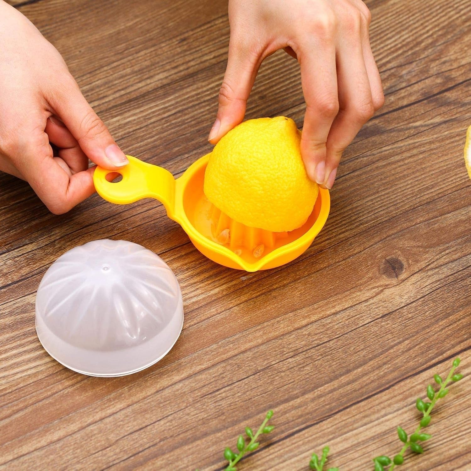 Lemon orange squeezer manual