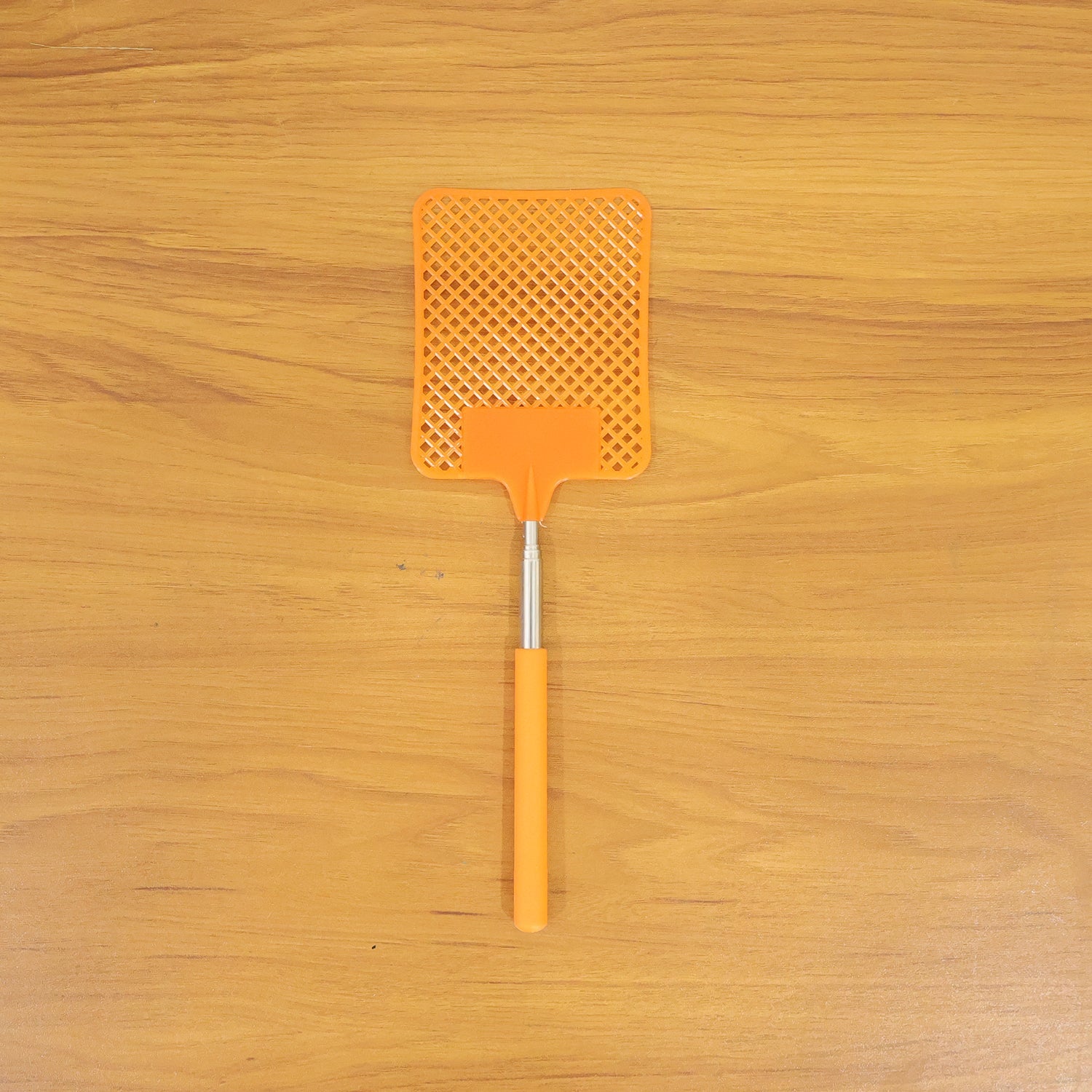 Multipurpose Plastic Fly Swatter With Extendable Handle (1 Pc, 63 Cm)