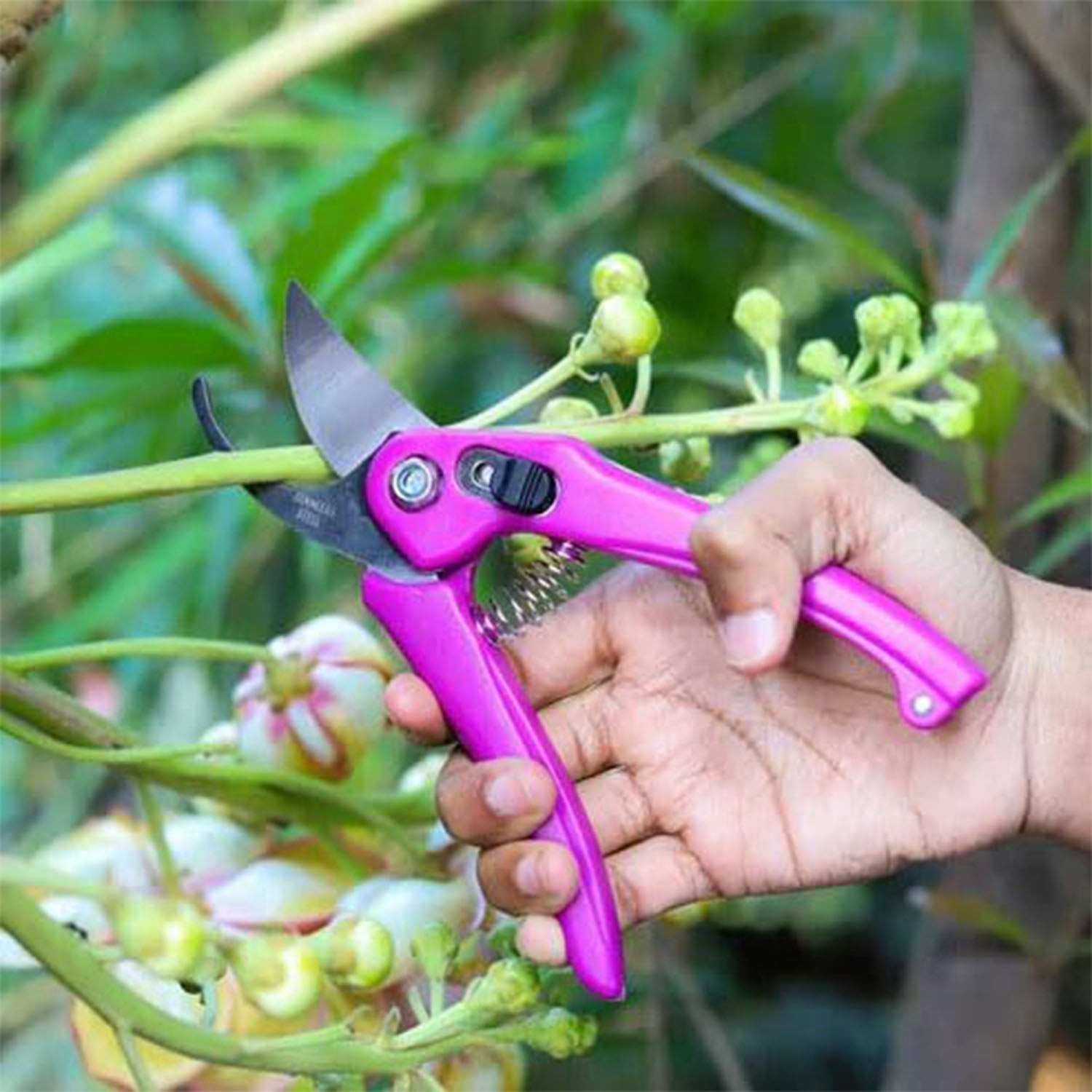 Soft padded handles on stainless steel garden scissors