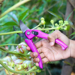 Soft padded handles on stainless steel garden scissors