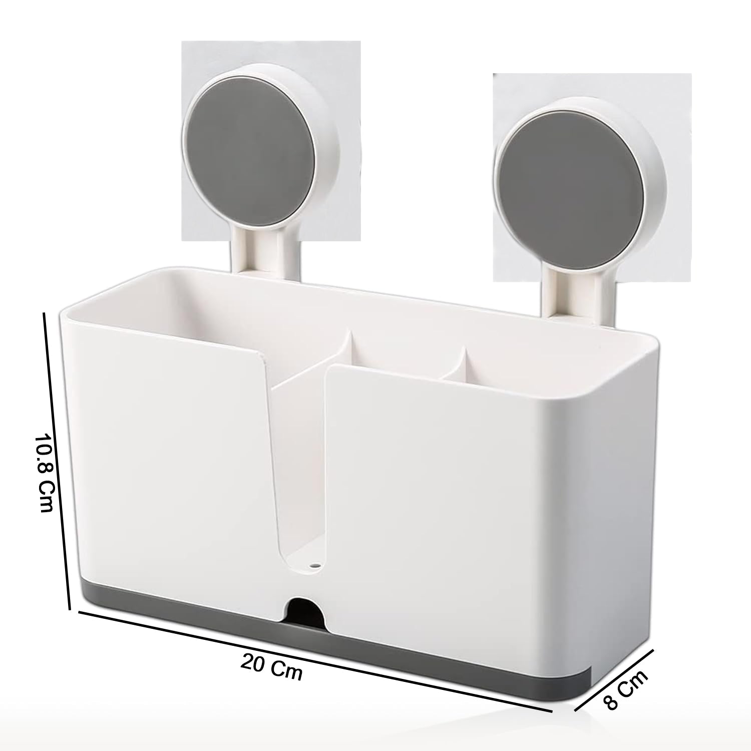 Toothbrush organizer mounted on bathroom wall