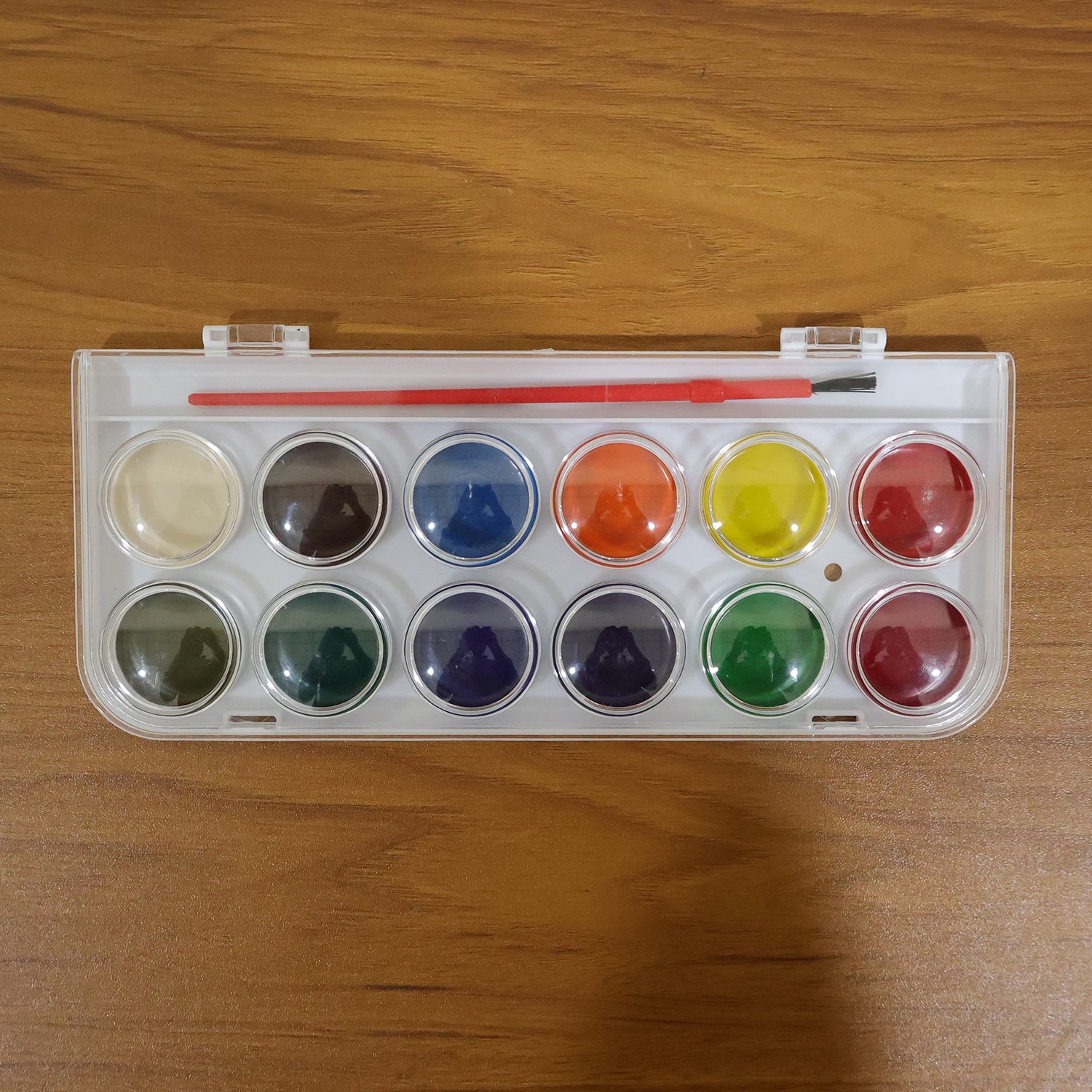 12 Vibrant Watercolor Paint Cakes