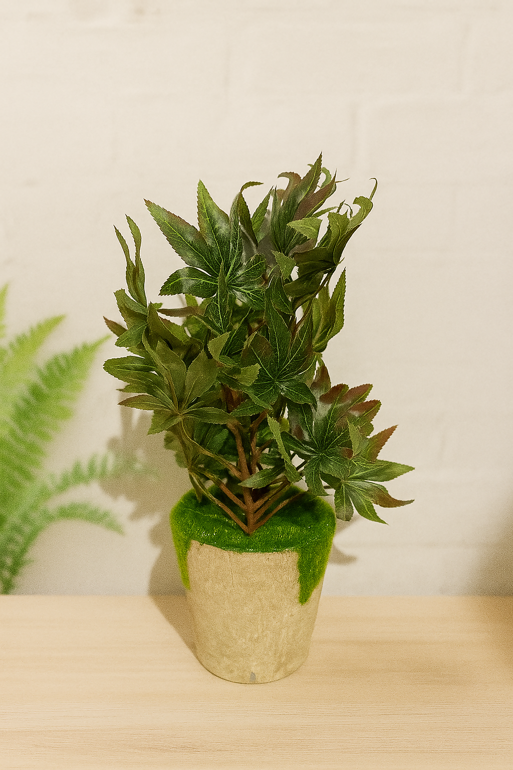 D6721EF5-21B2-4676-99A1-5AA590CE6CDC