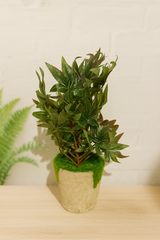 D6721EF5-21B2-4676-99A1-5AA590CE6CDC