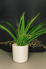 ChatGPT Image Jun 16, 2025, 11_08_21 AM