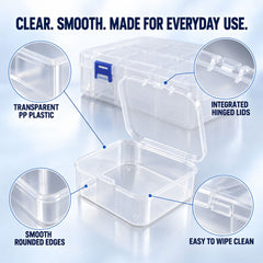 Transparent Compartment Storage Box with Removable Mini Cases (1 Pc)