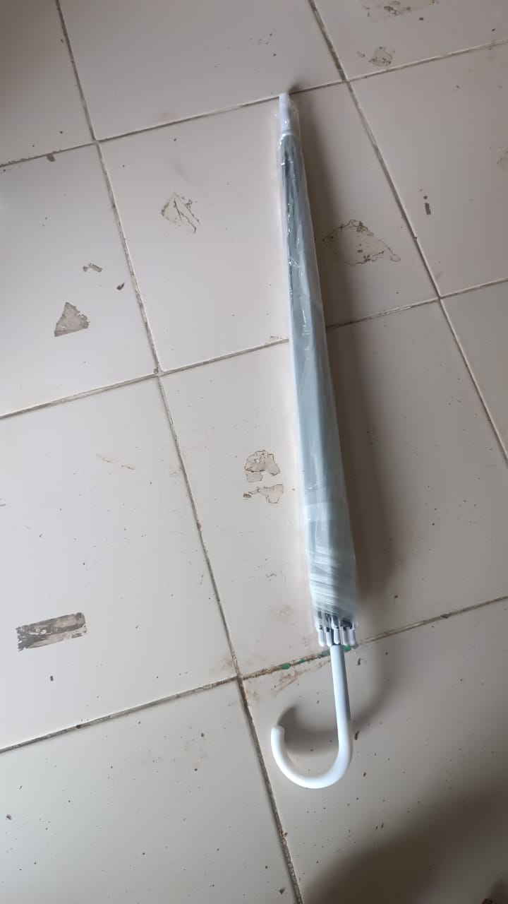 Folded premium transparent dome umbrella