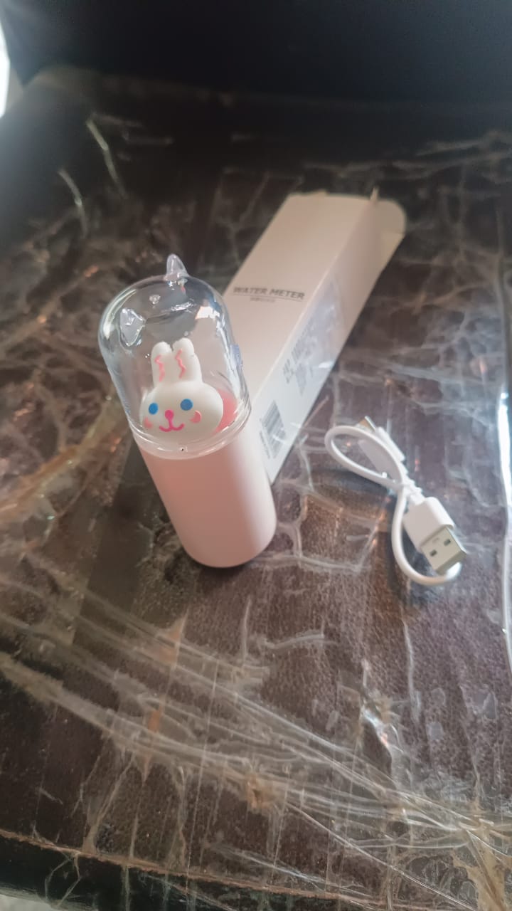 Portable Mini Facial Steamer â€“ USB Rechargeable Nano Mist Sprayer with Cute Cartoon Design