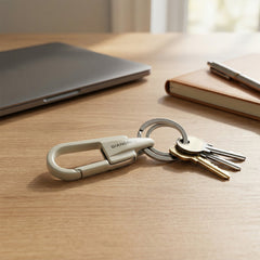 Heavy duty metal carabiner key holder with dual key rings