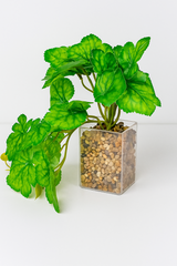 ChatGPT Image Jun 14, 2025, 04_29_14 PM