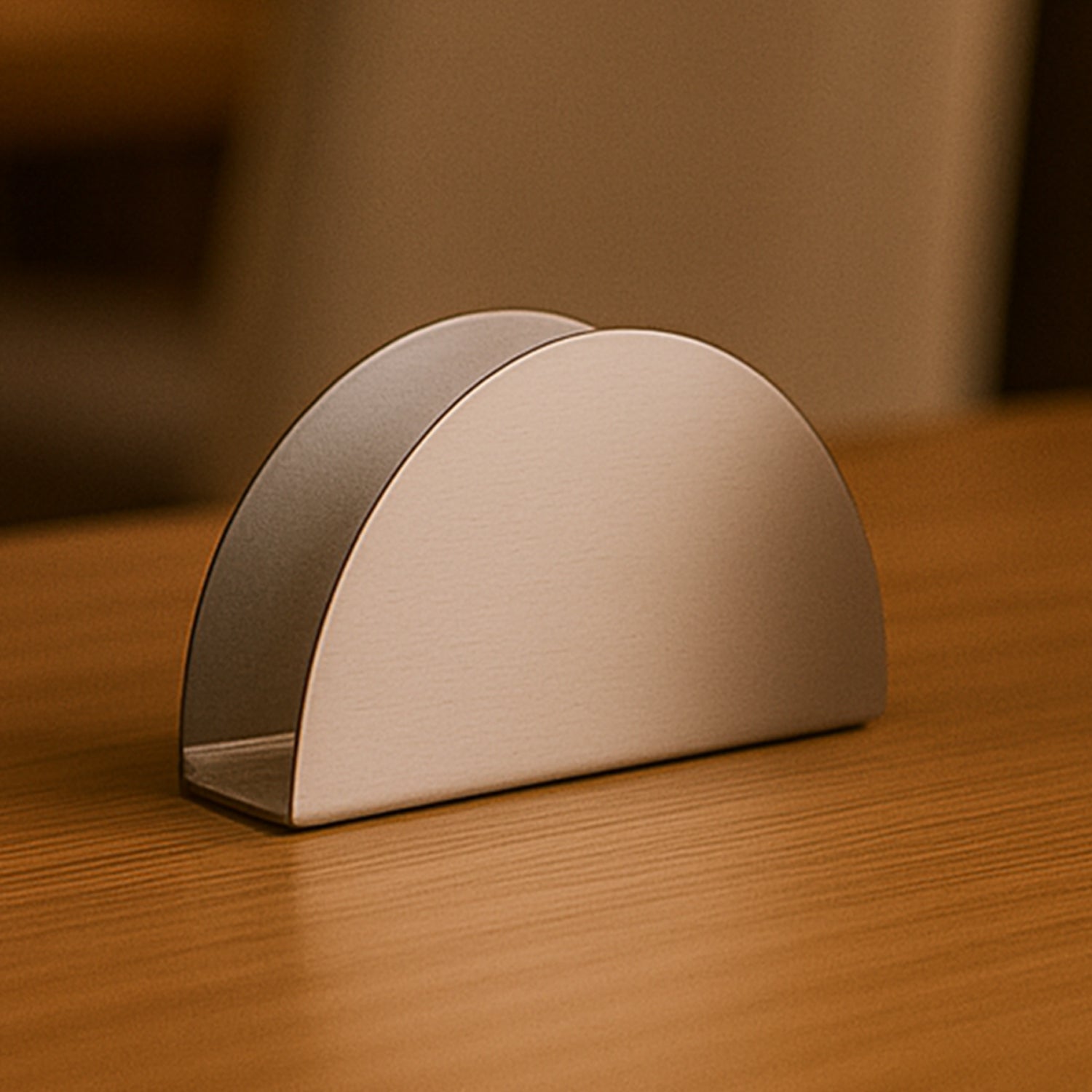Stainless Steel Tissue Paper Holder Side View